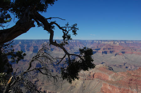 Grand Canyon from mather's Point
